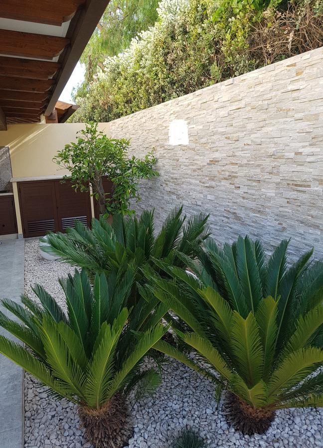 B&B Aloe Comfort Rooms ซานวิโต โลคาโป ภายนอก รูปภาพ