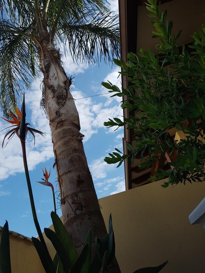 B&B Aloe Comfort Rooms ซานวิโต โลคาโป ภายนอก รูปภาพ