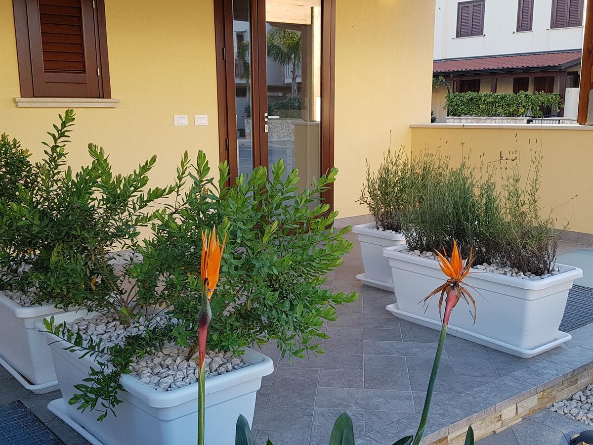 B&B Aloe Comfort Rooms ซานวิโต โลคาโป ภายนอก รูปภาพ