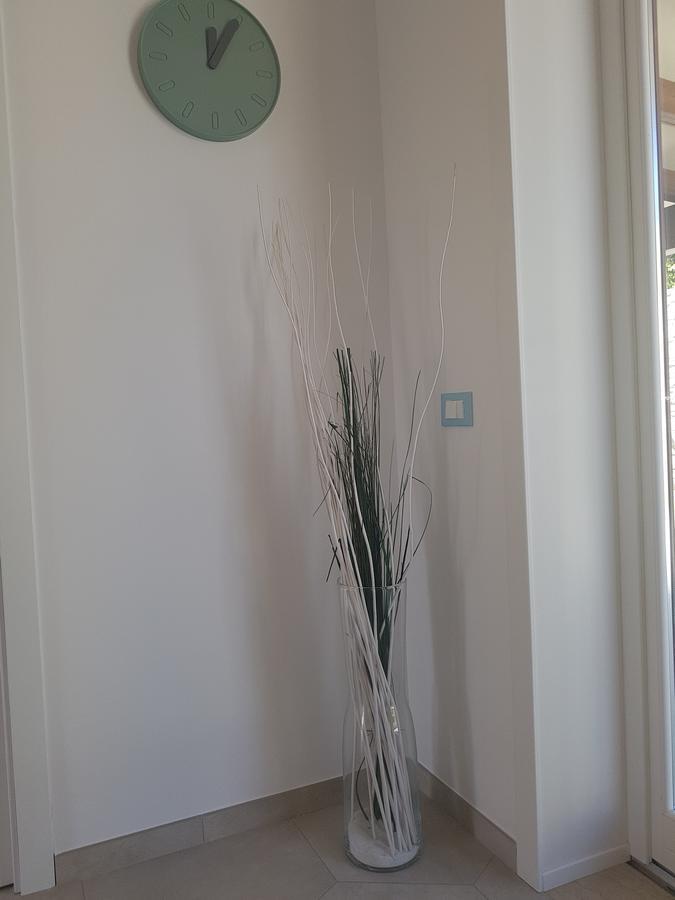B&B Aloe Comfort Rooms ซานวิโต โลคาโป ภายนอก รูปภาพ